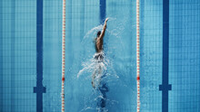 Aerial Top View Male Swimmer Swimming In Swimming Pool. Professional Athlete Training For The Championship, Using Front Crawl, Freestyle Technique. Top View Shot