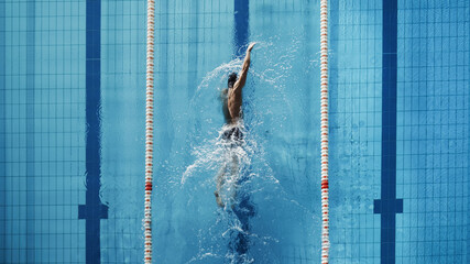 Wall Mural - Aerial Top View Male Swimmer Swimming in Swimming Pool. Professional Athlete Training for the Championship, using Front Crawl, Freestyle Technique. Top View Shot