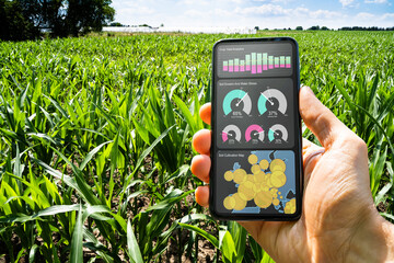 Corn Farm Smart Agriculture Technology