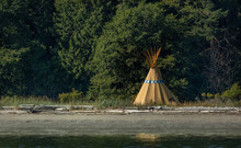 Isolated Teepee On Puget Sound Driftwood Beach With Thick Forest Behind.
