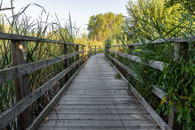 Wooden Walkway To Walk Through Wetlands Surrounded By Vegetation On A Sunny Morning.