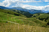 Fototapeta Na sufit - Beautiful Landscape with Trees, Mountains and Meadows with a Blue Sky and Clouds Seen on the Mountains from Passo Fittanze Di Sega, in Lessinia, near Verona in Italy