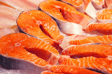 fresh salmon fillet