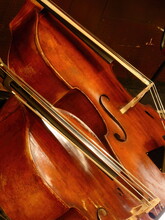 Bass Fiddles - Czech Philharmonic - Prague