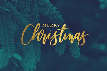 Wall Mural - gold merry christmas christmas calligraphy script with tree evergreen background