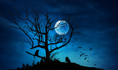 Wall Mural - Spooky night image . Mixed media