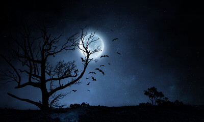 Wall Mural - spooky night image . mixed media