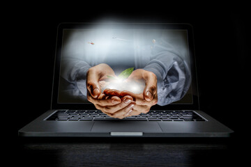 Poster - Plant in hands above keyboard