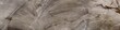 onyx marble natural, brown semi precious texture background, polished Carrara Statuario marbel tiles ceramic wall and floor pattern, emperador calacatta glossy satvario limestone, quartzite mineral.
