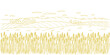 Wheat field. Rural landscape panorama. Agriculture cereal harvest. Dry grass meadow. Contour vector line. Bread wrapper. Open paths. Editable stroke. Hand drawn sketch.