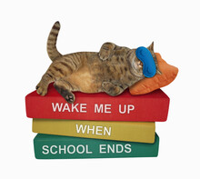 A Beige Cat In A Sleep Mask Is Sleeping A Pile Of Books. Wake Me Up When School Ends. White Background. Isolated.