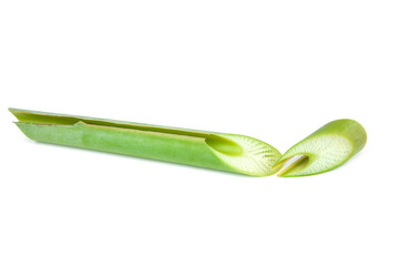 Wall Mural - Leaf stalk banana isolated on white background.