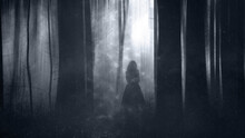 A Woman In A Dress Standing In A Magical Forest Out Of Focus.  With A Grunge, Blurred Textured Edit.
