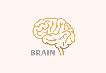 Simple linear brain logo with golden gradient.