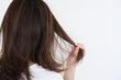 © webbiz - 髪の毛を触る女性の後ろ姿
