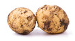 Raw unwashed potatoes with soil isolated on white background