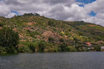 Wall Mural - View from the Cruise Boat in Douro River Valley - Port Wine Region with Farms Terraces Carved in Mountains, Portugal