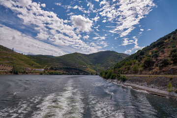 Wall Mural - View from the Cruise Boat in Douro River Valley - Port Wine Region with Farms Terraces Carved in Mountains, Portugal