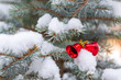 Red Christmas decor bells on snowy fir tree
