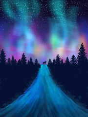 night with green and purple aurora wallpaper