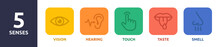 Five Senses Icons. 5 Senses Symbols Set.