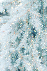Wall Mural - Vertical photo of blue Christmas tree background outdoor with snow, lights bokeh around, and snow falling, Christmas atmosphere.