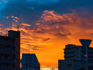 Poster - 市街地の朝焼けの風景