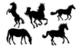 Fototapeta Konie - Horse silhouettes, Black silhouettes of Horses.