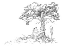 Hand Drawn Tree With Park Bench, Engraving Vintage Vector Illustration Isolated.