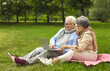 © Studio Romantic - Happy married senior couple using laptop computer together. Cheerful old grandparents sitting on picnic blanket on green park lawn, looking at laptop screen, video calling family or shopping online