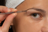 Fototapeta  - woman shapes her eyebrows