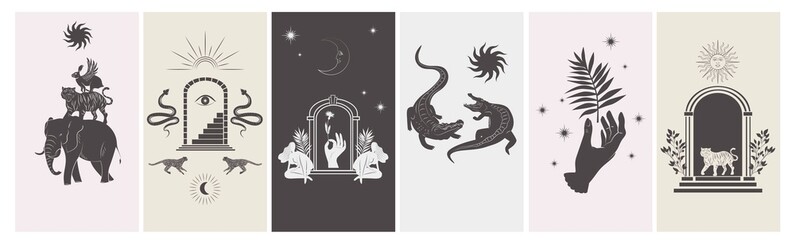 Wall Mural - Collection of stories design template with astrology and mystical elements. Editable vector illustration.