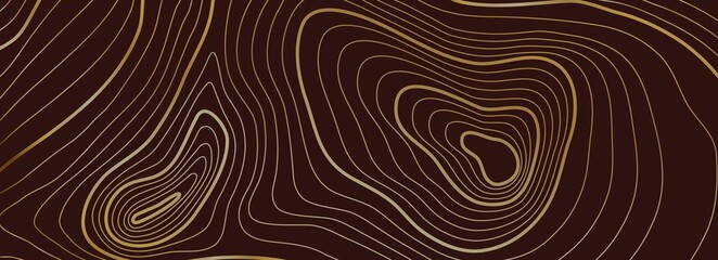 Wall Mural - Topographic background. Sea texture, line contour map or heights path. Gold abstract topography cartography grid. Geography vector linear landscape