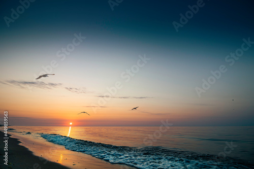 Sunrise on the Black sea. Sun and seagulls fly away into the horizon. Morning on the beach.