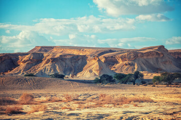 Wall Mural - View of desert. View of valley with mountains on backdrop. Nature of Israel.