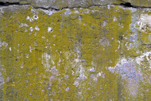 Texture Of Old Concrete Wall With Yellow Olive Stains For Background