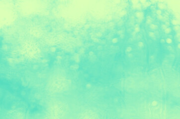 Wall Mural - blurry green abstract background with bokeh