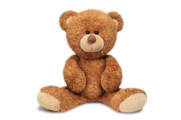 cute teddy bear