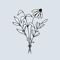 Wall Mural - Line art vector flowers bouquet with white fill. Hand drawn floral composition for romantic holidays and Valentines day. Floral arrangement illustration. Line art botanical. Flowers and plants