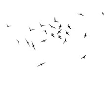 Flying Birds Silhouettes. A Flock Of Swallows, Swifts. Wallpaper, Background Design. Vector Flock Of Birds Isolated On White Background.