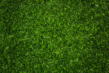 Canvas Print - top view artificial green grass texture for background
