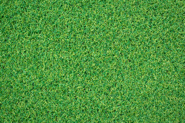 Canvas Print - top view artificial green grass texture for background