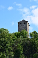 Wall Mural - Burg Treis