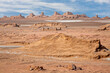 © MehmetOZB - Lut desert with tall rock formations known as Kaluts in Iran