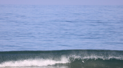 Wall Mural - waves on the beach