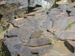 Wall Mural - Petroglyph in Tamgaly, Kazakhstan