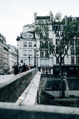 Canvas Print - Vertical shot of a bridge upon the river and a beautiful view of buildings