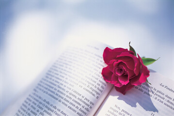 book and rose