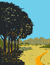 Art Deco Or WPA Poster Of  Heathland And Forest Trails In New Forest Located Within New Forest National Park In  Southern England, United Kingdom Done In Works Project Administration Style.