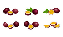 Round Dark Purple Passion Fruit With Juicy Flesh Containing Numerous Seeds Vector Set